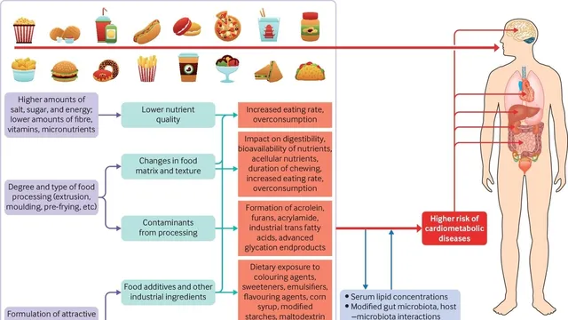 Body, Health & Energy