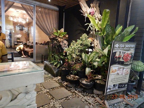 Massage & Wellness Yasmin